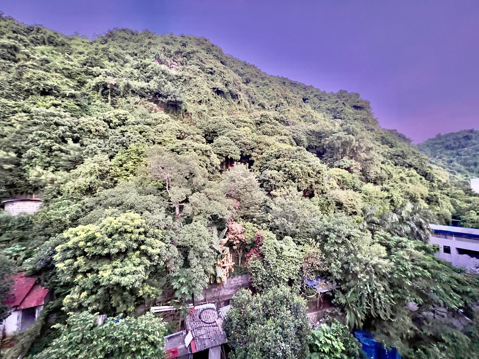 Manh Vuong Hotel Catba Dong Khe Sau Экстерьер фото