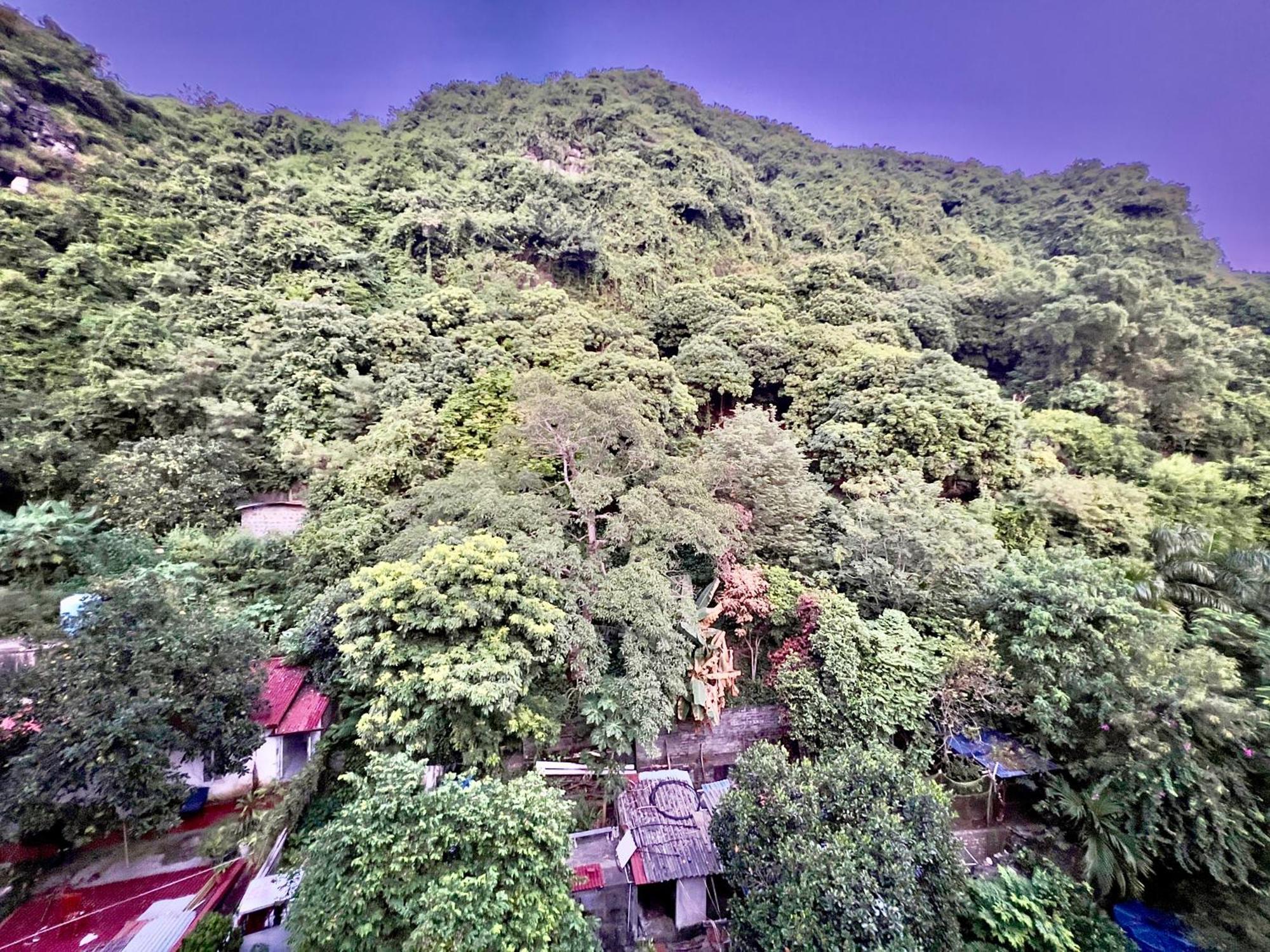 Manh Vuong Hotel Catba Dong Khe Sau Экстерьер фото